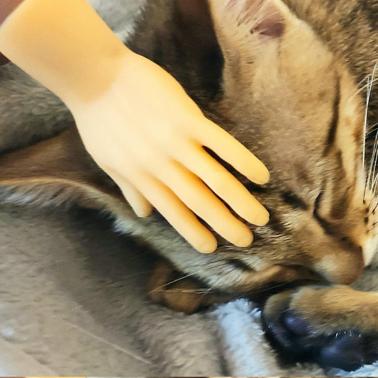 Putogn! Finger Hands or Little Feet Pet Set – Hilarious Tiny Hands and Feet for Pranksters, Meme Lovers & Fun Enthusiasts!