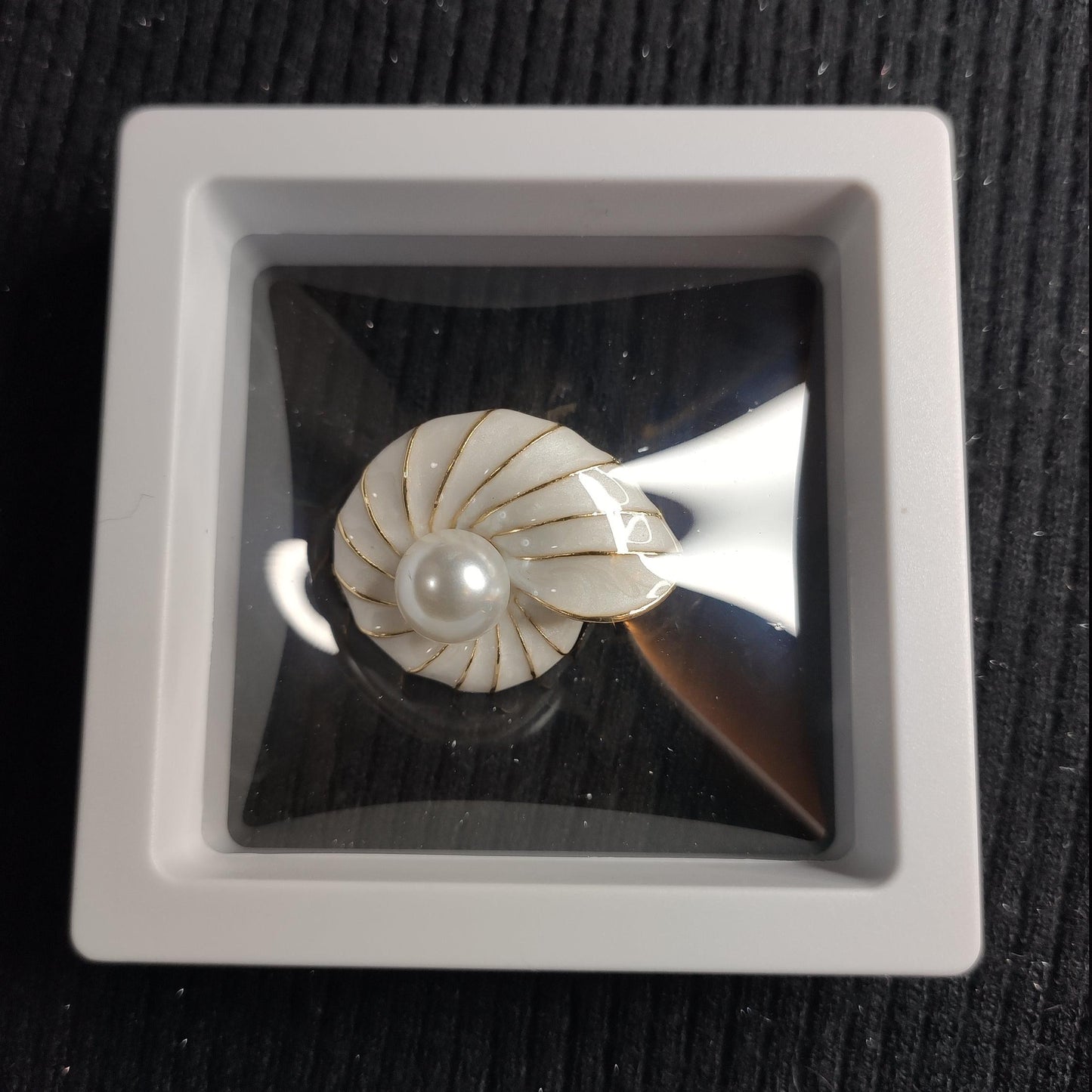 Putogn! Nautilus Shells with Pearl Brooch – Handmade Ocean-Inspired Jewelry for Nature Lovers & Elegant Fashionistas!