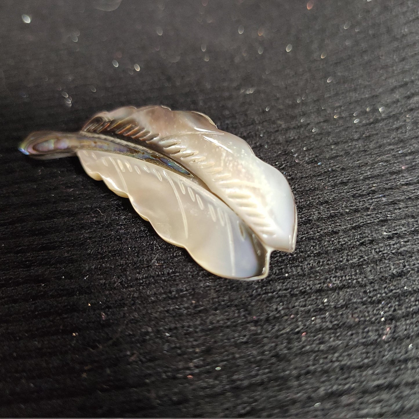 Putogn! Symphony Stitching Shell Feather Brooch – Handmade Ocean-Inspired Jewelry for Nature Lovers & Elegant Fashionistas!