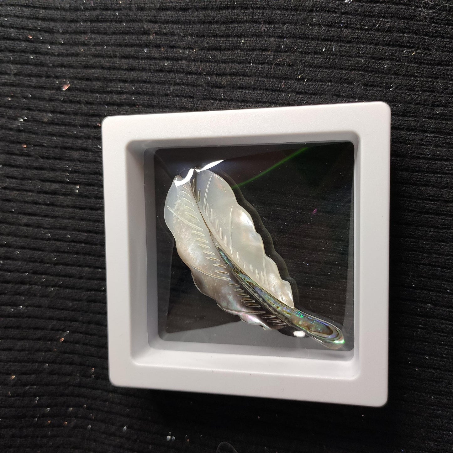Putogn! Symphony Stitching Shell Feather Brooch – Handmade Ocean-Inspired Jewelry for Nature Lovers & Elegant Fashionistas!