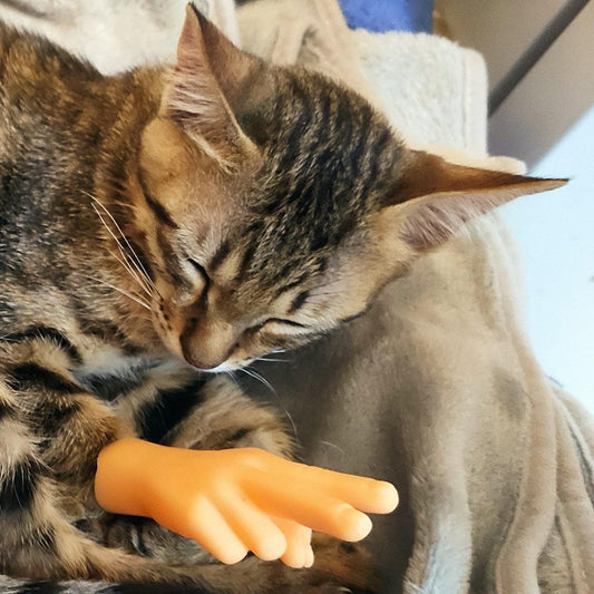 Putogn! Finger Hands – Tiny Hands Victory or Fist Gestures for Pranksters, Meme Lovers & Fun Enthusiasts!